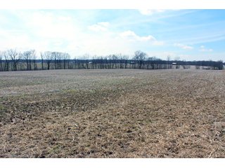Property photo 4 - REAL ESTATE AUCTION - 17.62+/- ACRES OFFERED IN 2 TRACTS